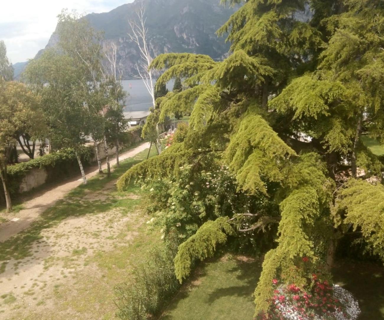 Villa Torbole Torbole Sul Garda Dış mekan fotoğraf